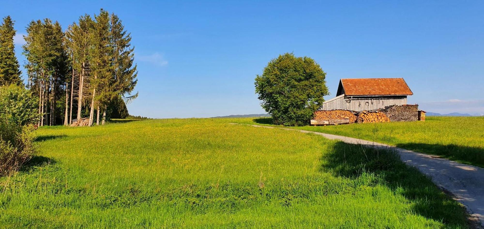 Lechbruck Am See Feriendorf Hochbergle Haus 140 エクステリア 写真
